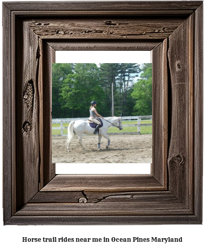 horse trail rides near me in Ocean Pines, Maryland